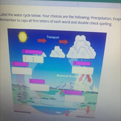 Label the water Cycle Using

Evaporation & Transpiration & Condsensation & Surface Run