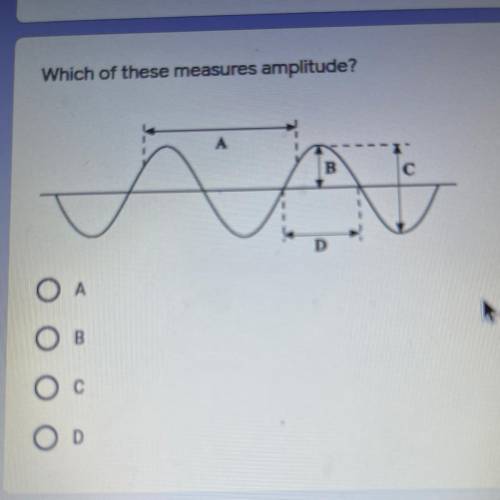 Which of these measures amplitude?