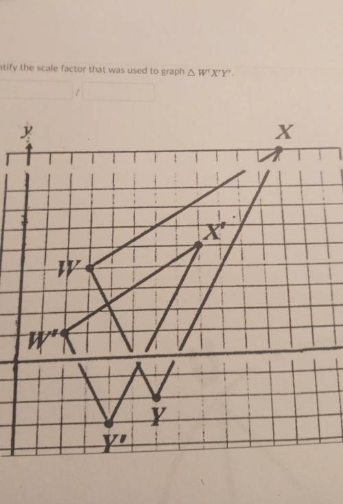 Identify tje scale factor that was used to graph W' X' Y'​