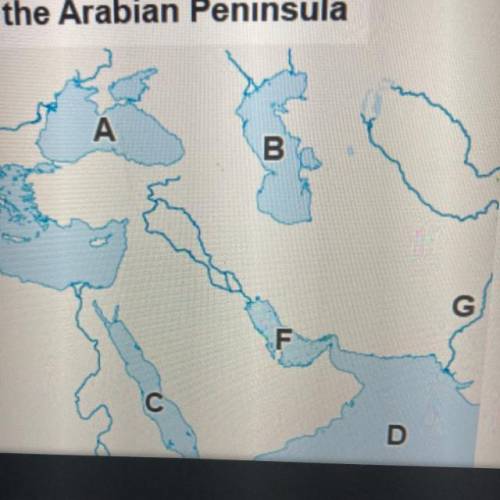 Which body of water is represented by the letter C on

the map?
O the Black Sea
the Caspian Sea
th