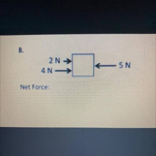 2N →
4N
5N
Net Force