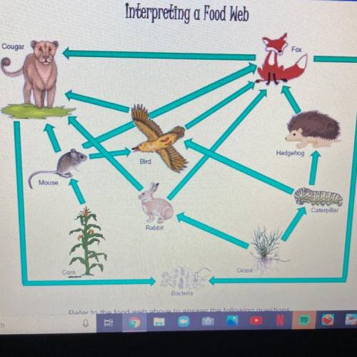 3. List the decomposers shown in the food web