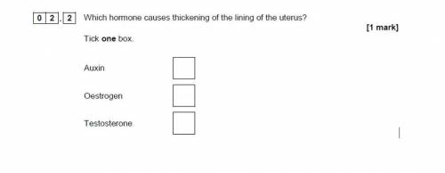 What is the answer too this
