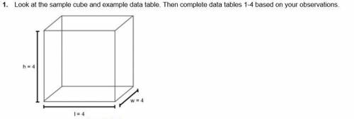 1. Look at the sample cube and example data table. Then complete data tables 1-4 based on your obse