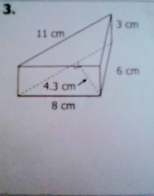 Unit 11: Volume and Surface Area
Homework 5: Surface Area of Prism and Cylinders