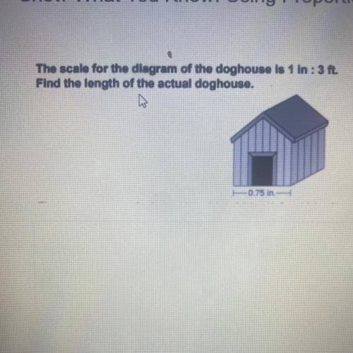 The scale for the diagram of the doghouse is 1 in: 3 ft.
Find the length of the actual doghouse.