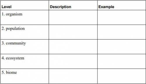 Write a description of each level of organization in the table. Also, provide an example for each l