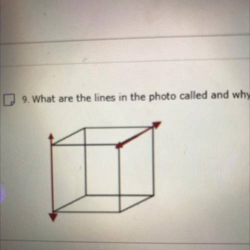What are the Lines in the photo called and why