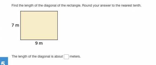 Find the length of the diagonal of the rectangle.

Round your answer to the nearest tenth. The hei