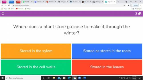 Help me please! 
Where does a plant store glucose to make it through the winter?
