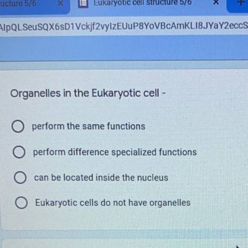 Organelles in the eukaryotic cell-