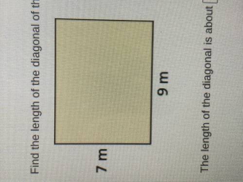 Find the length of the diagonal of the rectangle. Round your answer to the nearest tenth