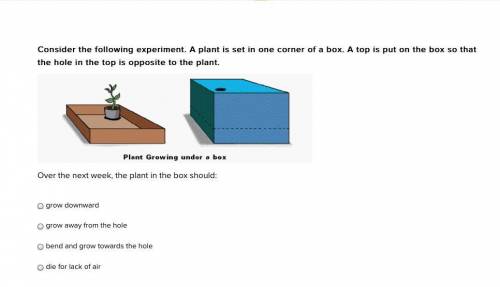 HELP

Consider the following experiment. A plant is set in one corner