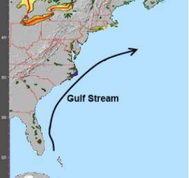 The picture below shows the movement of the Gulf Stream current.

The Gulf Stream is a current tha