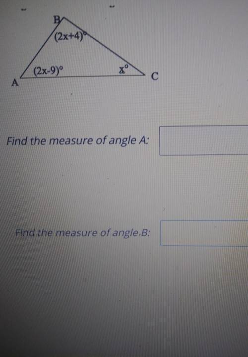 B (2x+4) (2x-9° xo C с A Find the measure of angle A: Find the measure of angle.B:​