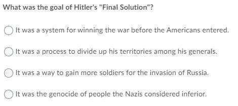 What was the goal of hitler's final solution