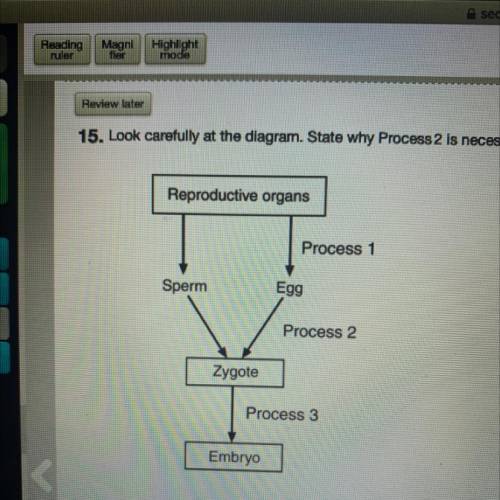 Look carefully at the diagram. state why process 2 is necessary in sexual reproduction