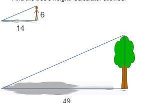 The man is 6 feet tall. His shadow is 14 feet long. The tree's shadow is 49 feet long. Find the tre