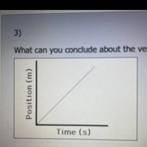 What can you conclude about the velocity of the object on the graph below￼