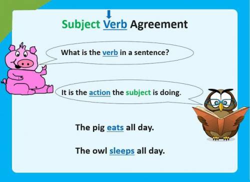 Write two sentences where the subject and verb agrees.