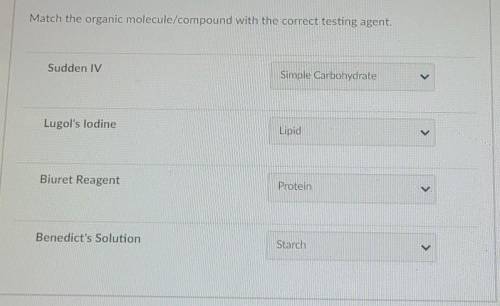 Match the organic molecule/compound with the correct testing agent. > Sudden IV Simple Carbohydr