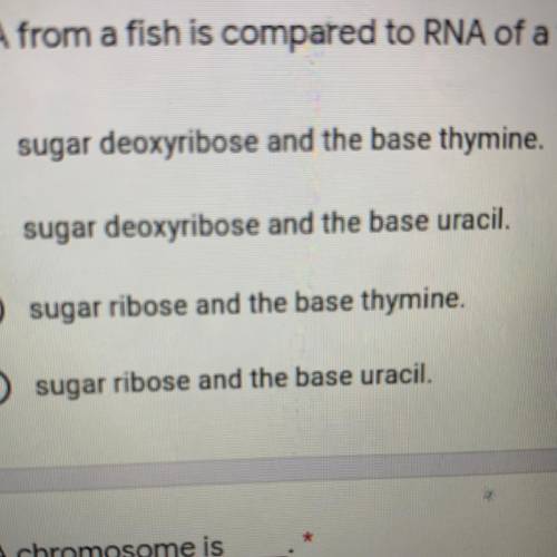 BIOLOGY HELP PLEASE
RNA from fish is compared to RNA of tomato. what do both contain