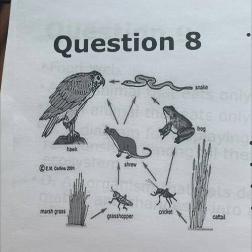 Question 8

The animals in this ecosystem provide what form of matter to the producers (to be used