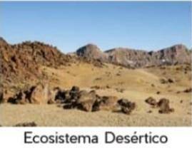 Desert flora present.

desert fauna present.Marncione 2 desert abiotic factors.mention 2 desert bi