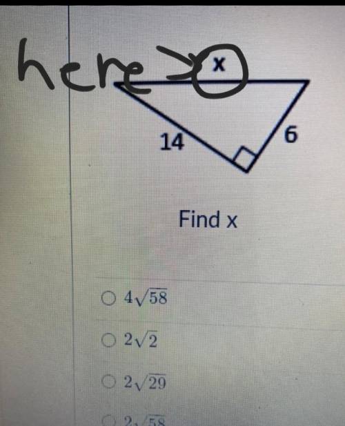 Find x ??????????????????????