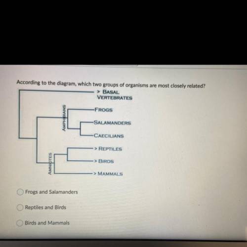 HELP ASAP

According to the diagram, which two groups of organisms are most closely related?
>