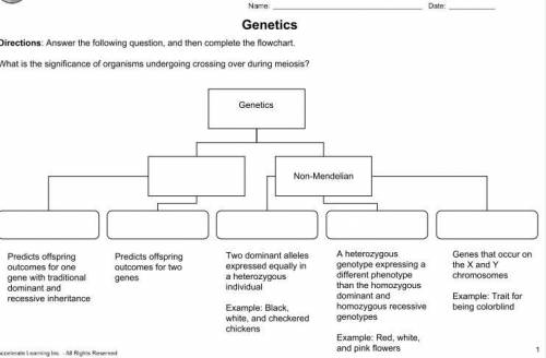 Genetics Directions: Answer the following question, and then complete the flowchart. What is the si