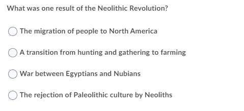 What was one result of the neolithic revolution