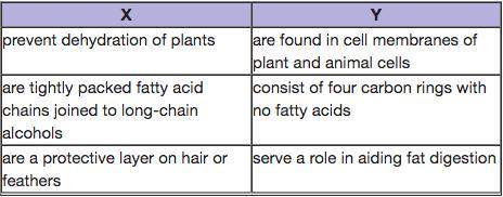 Colin organized information about lipids in a table.

What headings complete the table?A. X: Waxes
