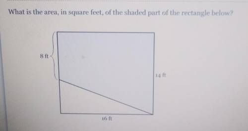 What is the area in square feet of the shaded part of the rectangle below​
