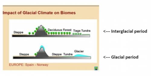 Refer to the image below to explain ONE feedback mechanism between the biosphere and another of Ear