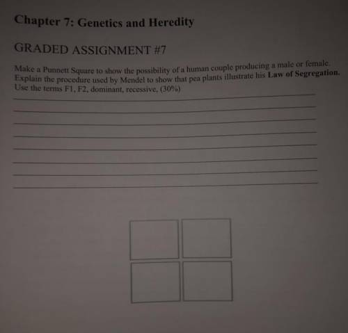 Hey so i need a lot of help with this homework.