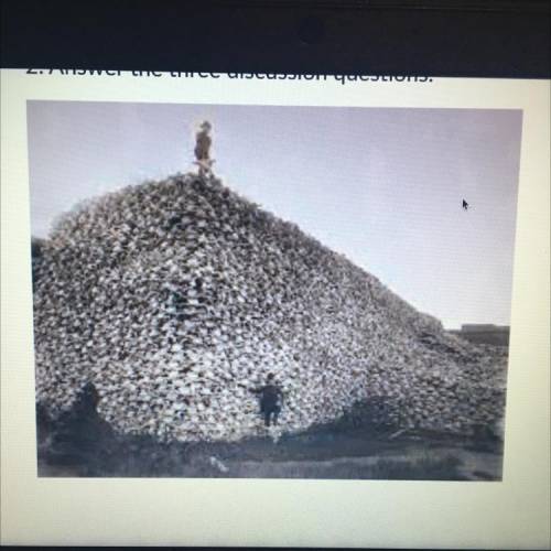 Wounded Knee Massacre Primary source

(Questions)
1. Describe the scene in the photo. What words c
