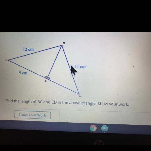 Find the length of BC and CD in the above triangle