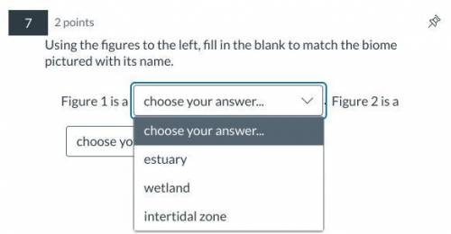 Helppp

Using the figures to the left, fill in the blank to match the biome pictured with its name