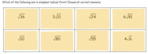 I can choose as many answers as I would like, I'm giving 25 points and I need an answer fast.