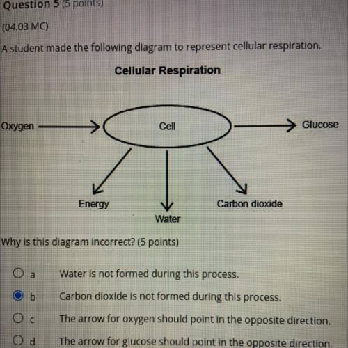 A student made the following diagram to represent cellular respiration.

Cellular Respiration
Oxyg