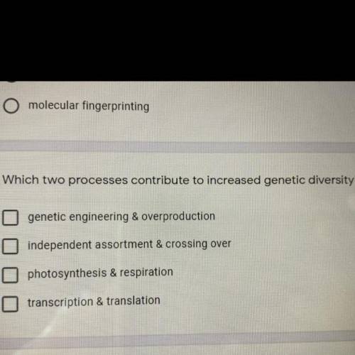Which two processes contribute to increase genetic diversity??