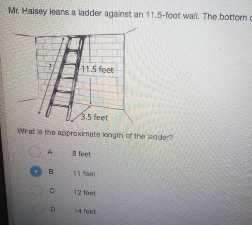 Mr. Halsey leans a ladder against an 11.5 foot wall the bottom the of the ladder is 3.5 ft from the