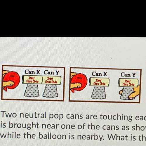 Two neutral pop cans are touching each other. A negatively charged balloon

is brought near one of