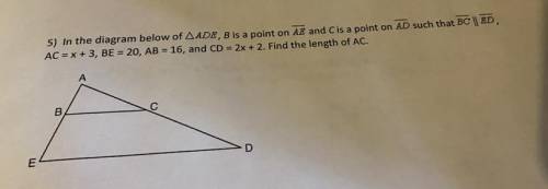 Please help with this my geometry grade is so bad