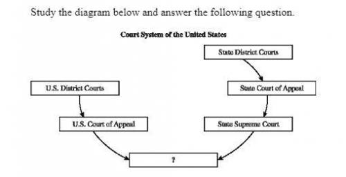 Which U.S. court belongs in the empty box in the diagram?

A. U.S. Circuit Court
B. U.S. Juvenile