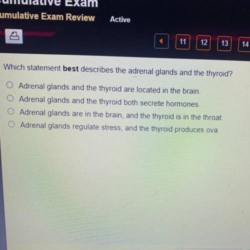 Which statement best describes the adrenal glands and the thyroid?

A. Adrenal glands and the thyr