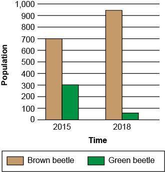 The graph shows a population of green and brown beetles in a grassy area.

Over time, more of the