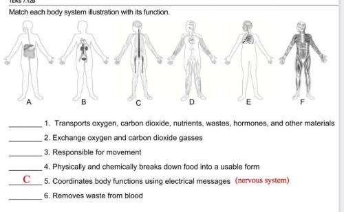 I need help with body systems