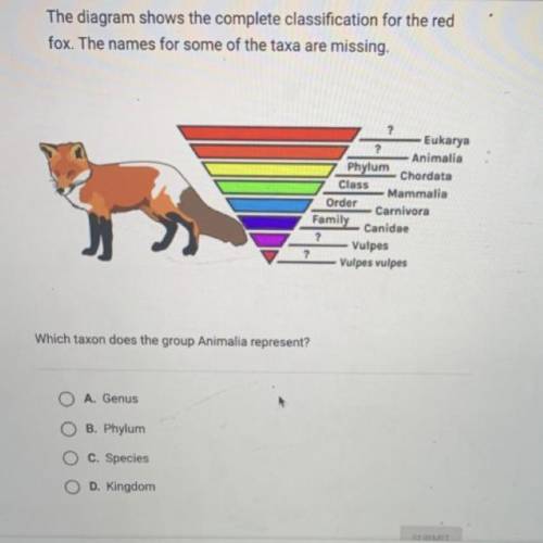 PLEASE

The diagram shows the complete classification for the red
fox. The names for some of the